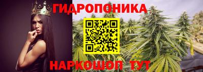 бошки Дубна