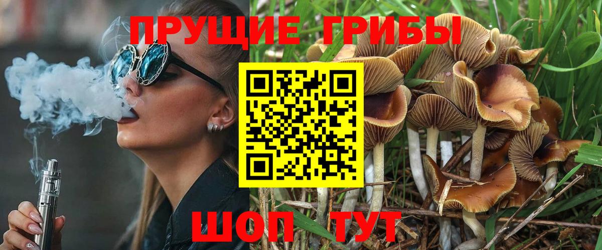 Псилоцибиновые грибы Magic Shrooms  дарнет шоп  Мариинск  Вход с VPN  Галлюциногенные грибы GOLDEN TEACHER 