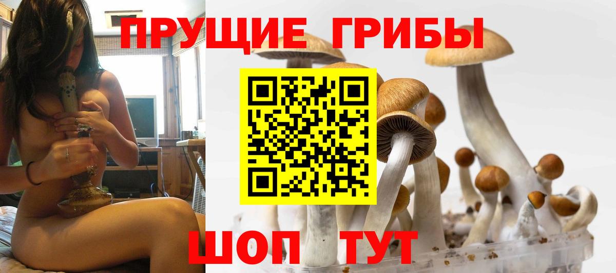 Псилоцибиновые грибы прущие грибы Мариинск